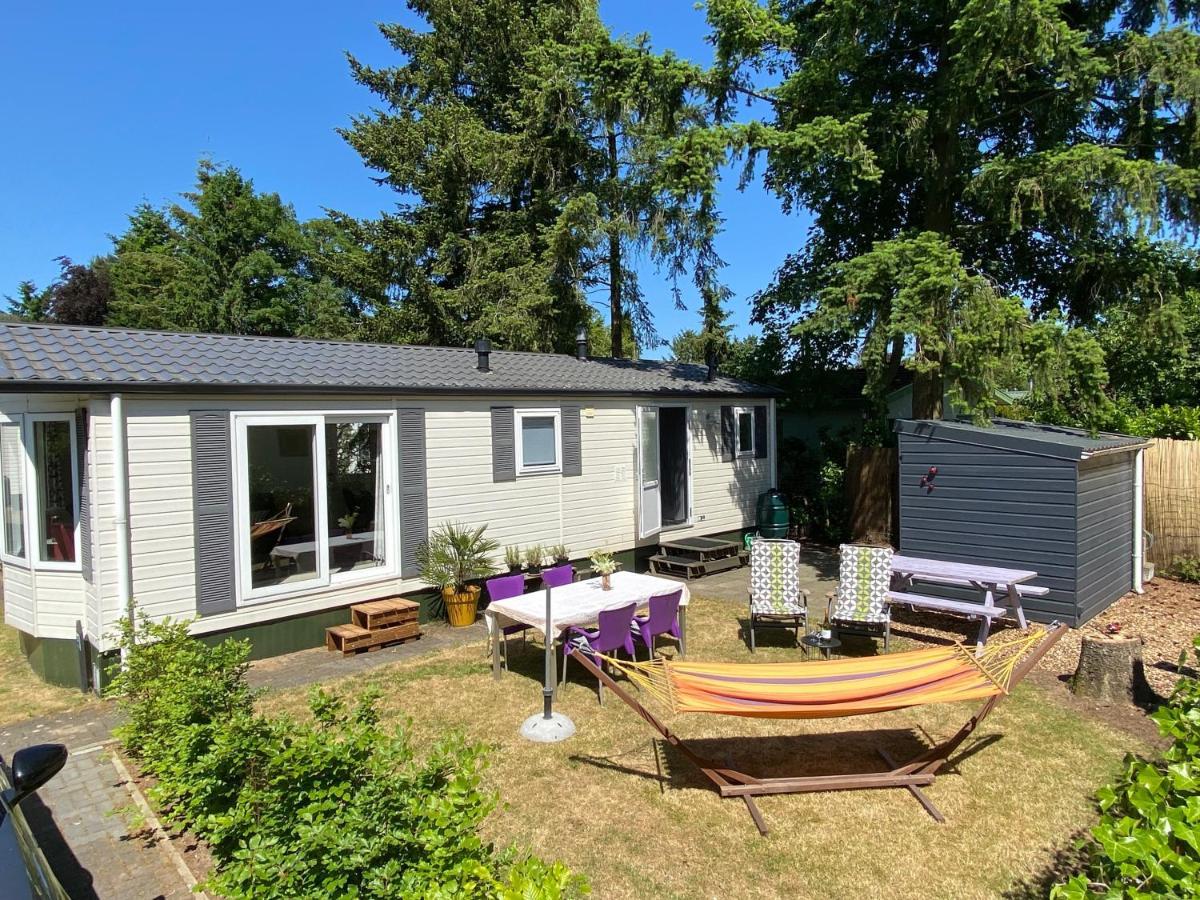 Ruim En Modern Chalet In De Veluwse Bossen Putten Kültér fotó